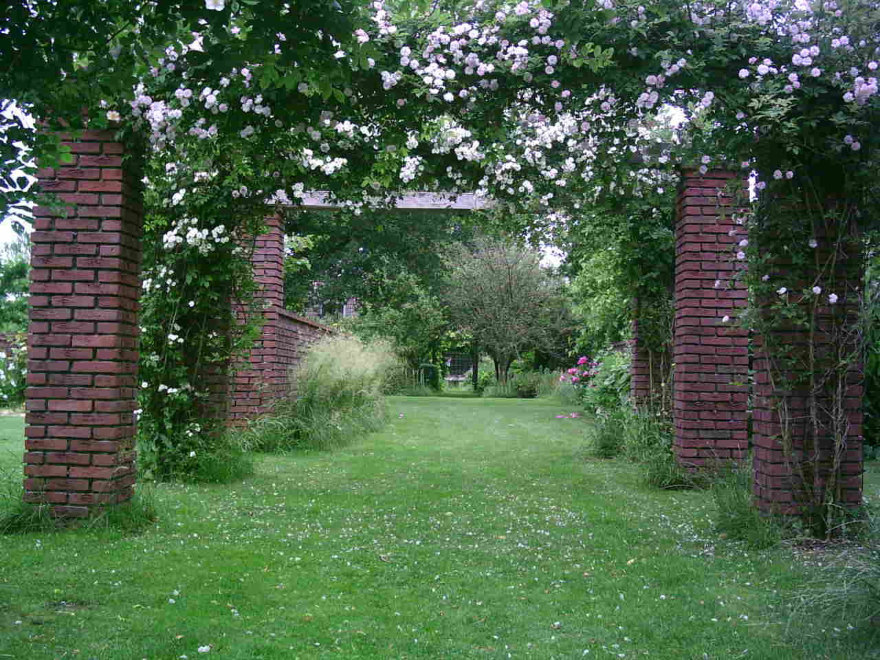 - image: 18