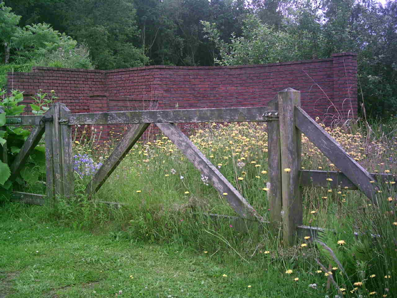 - image: 25