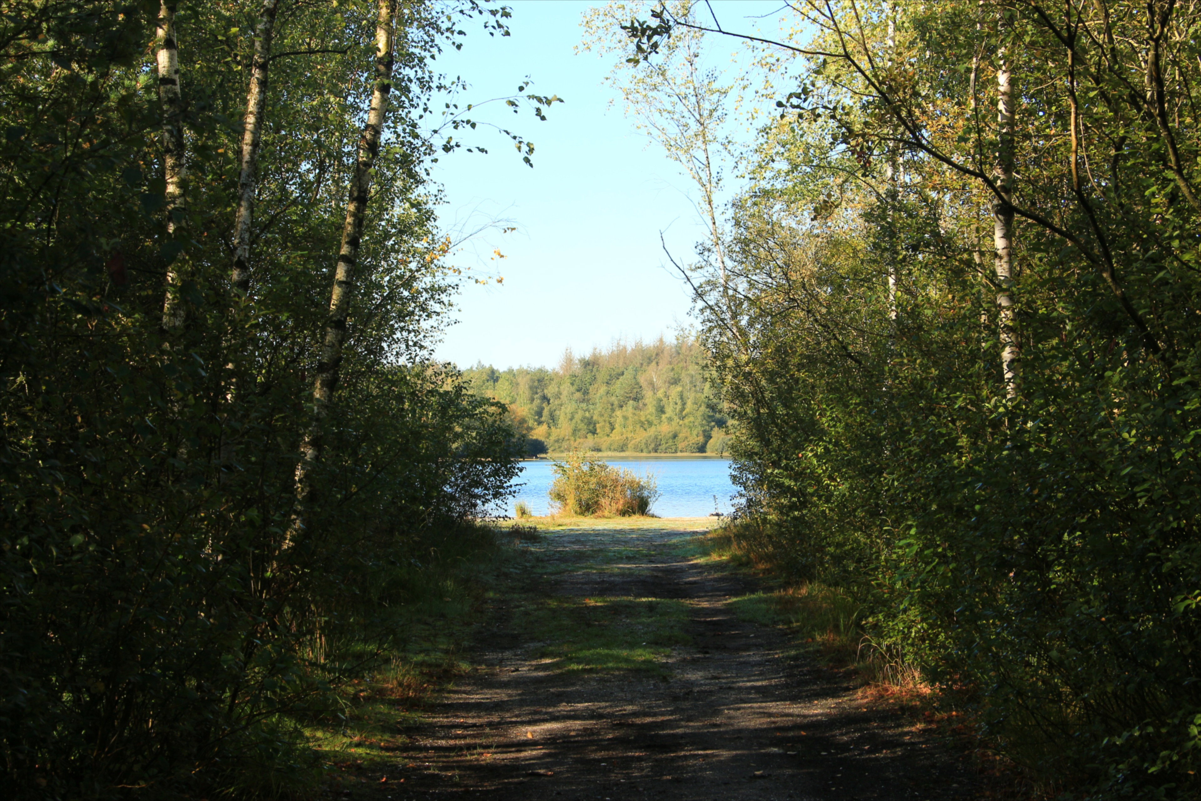 - image: 45