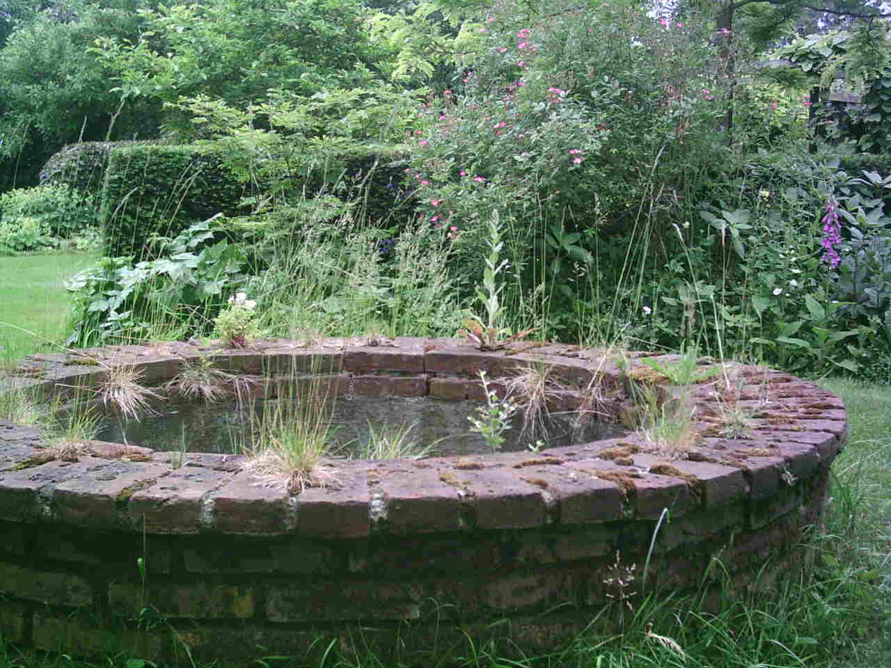 - image: 26