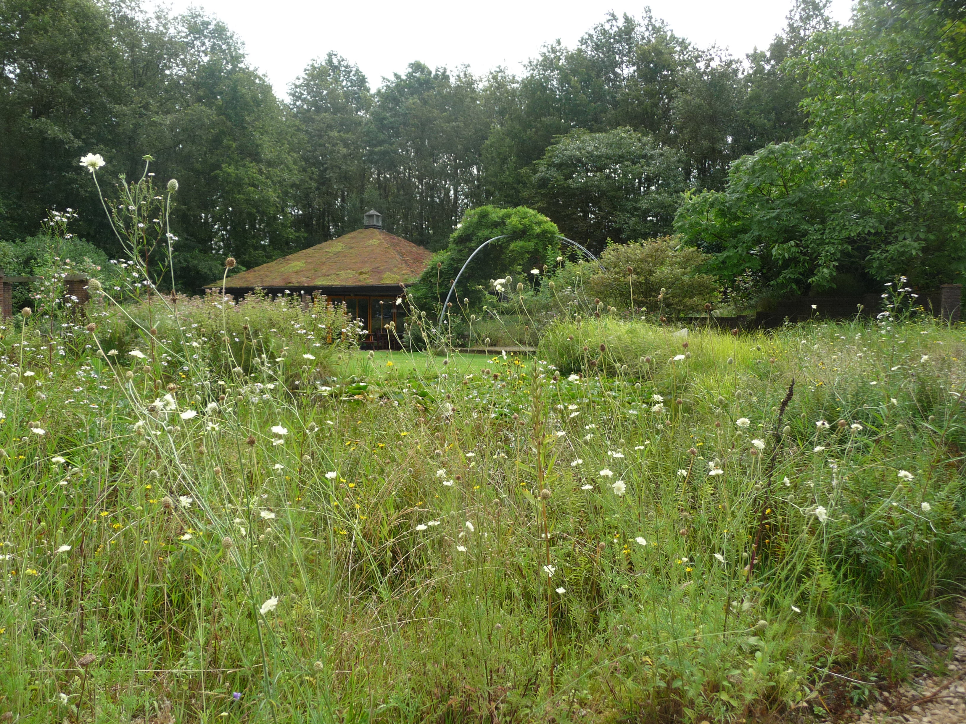 Naturhäuschen in Appelscha