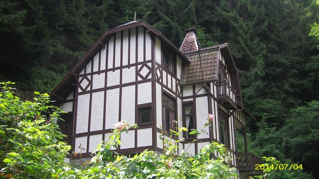 - image: 15