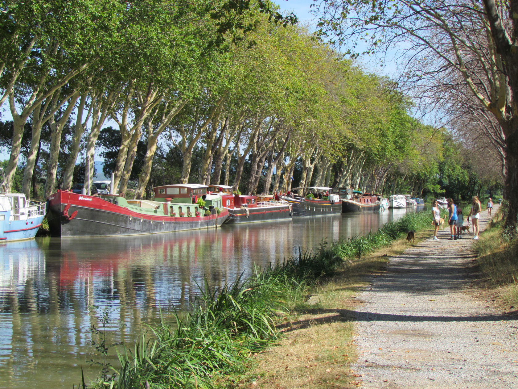 - image: 25