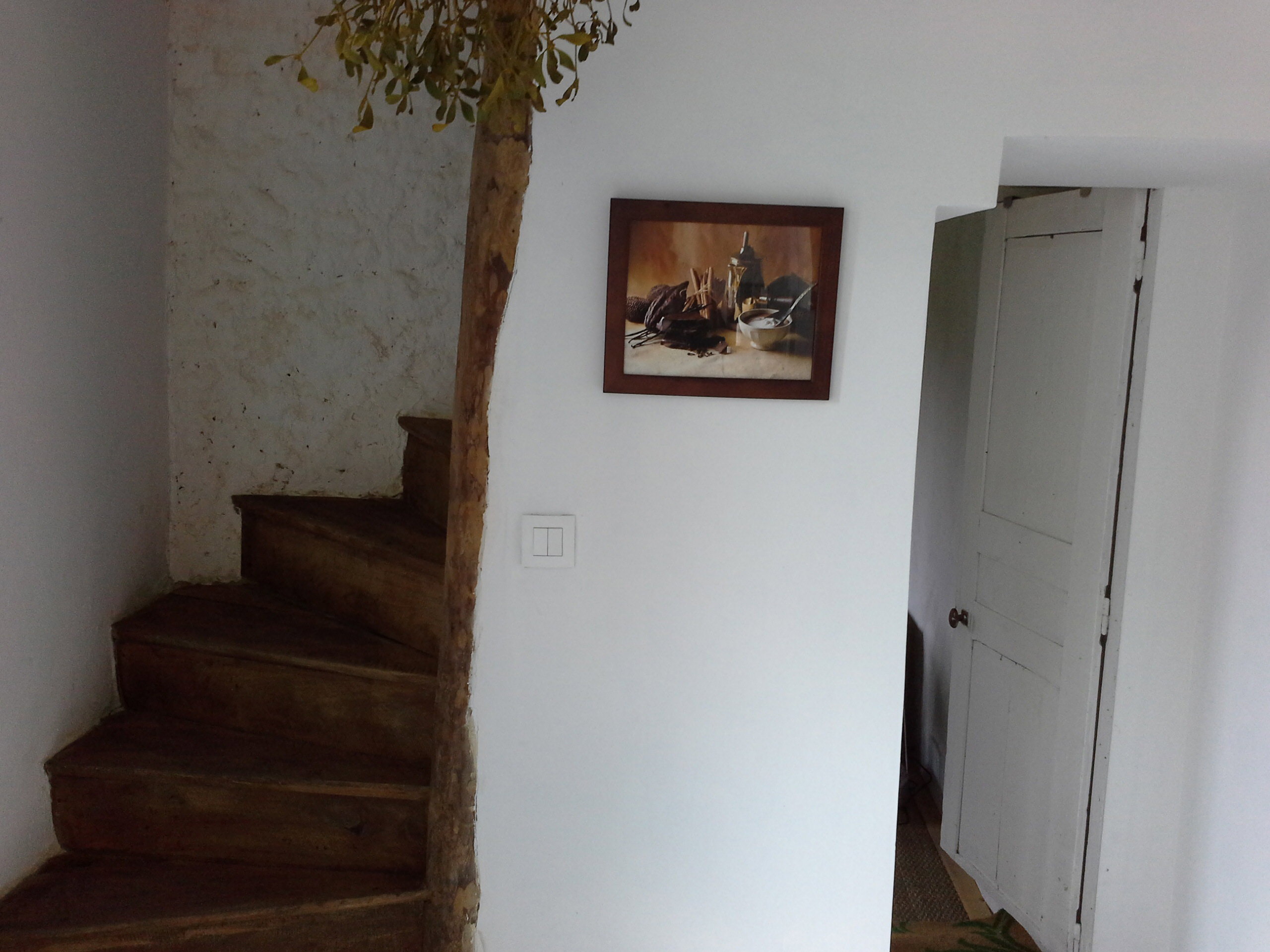 - image: 16