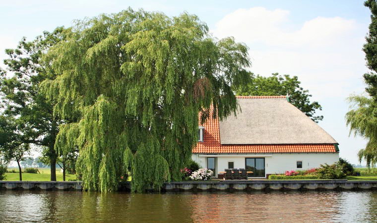 - image: 24