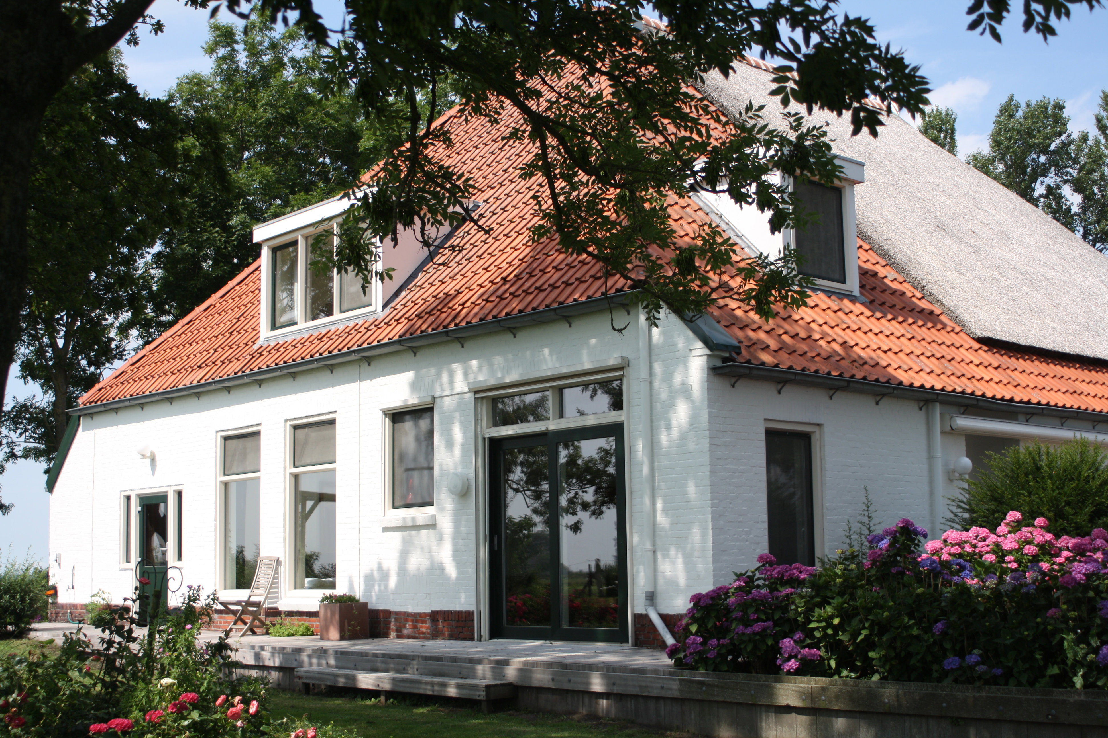 - image: 11