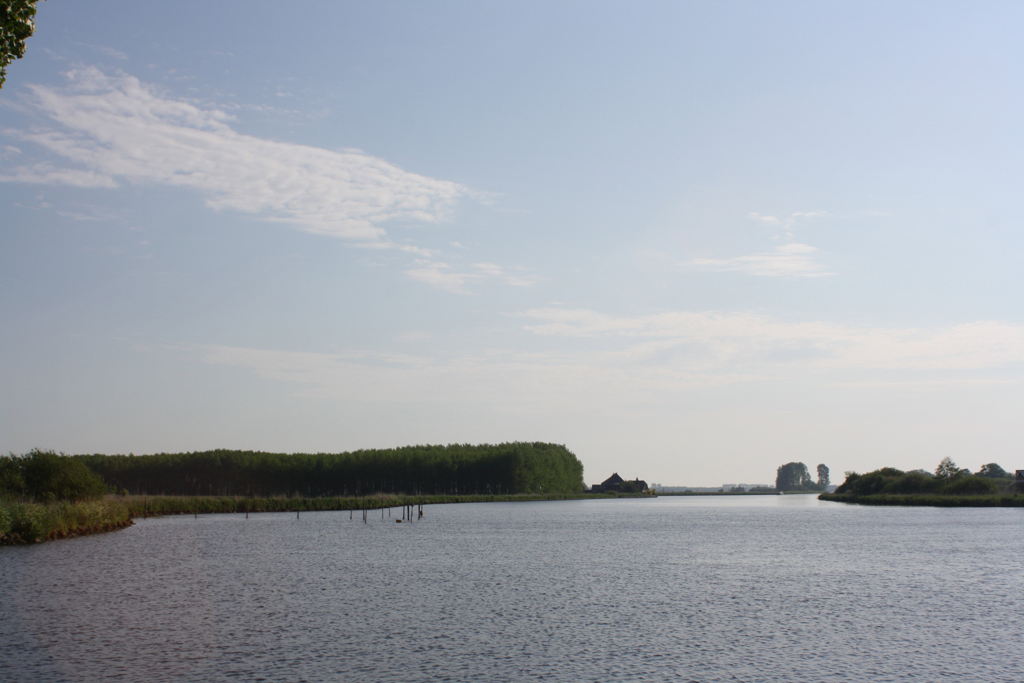- image: 51