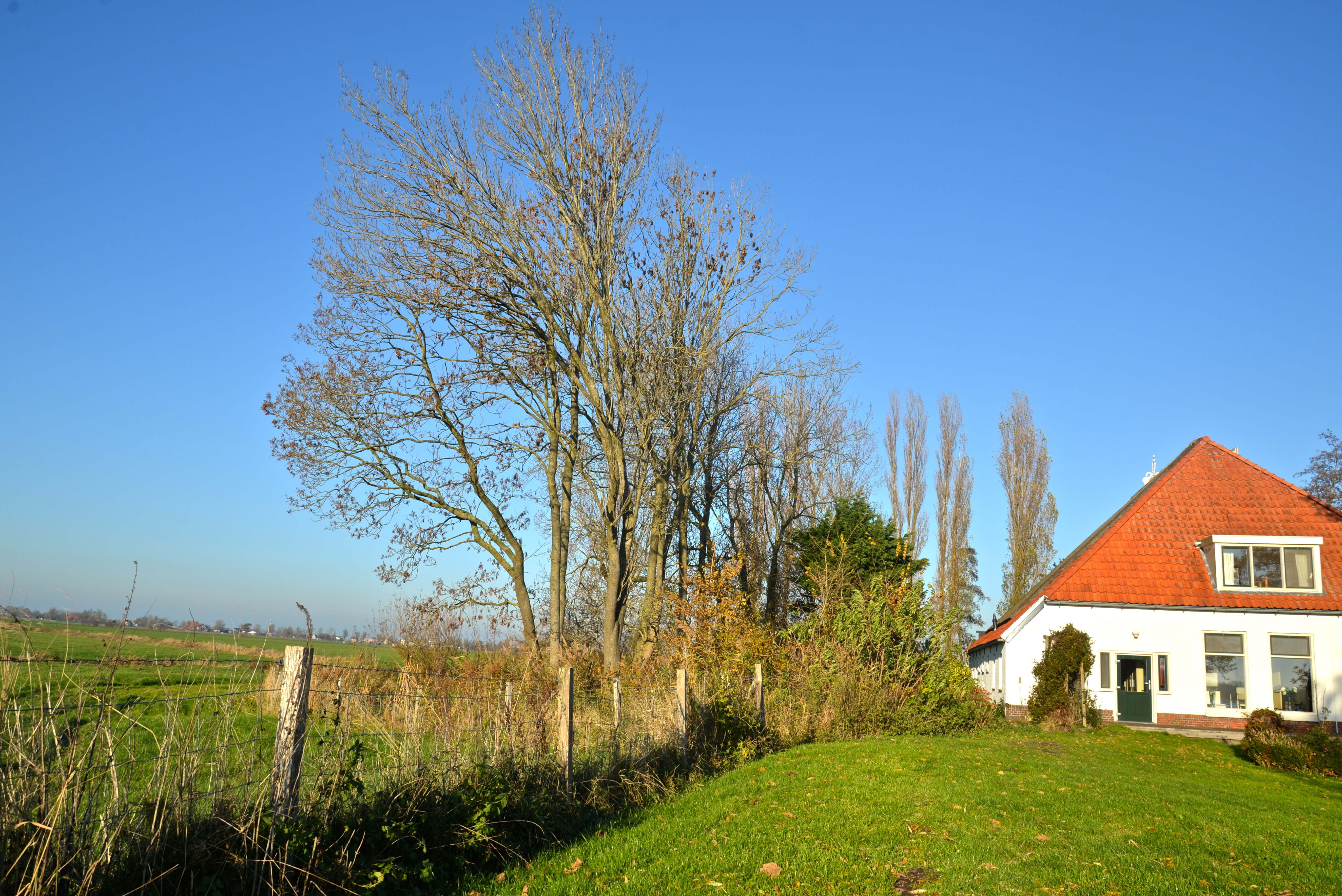 Natuurhuisje in Warten