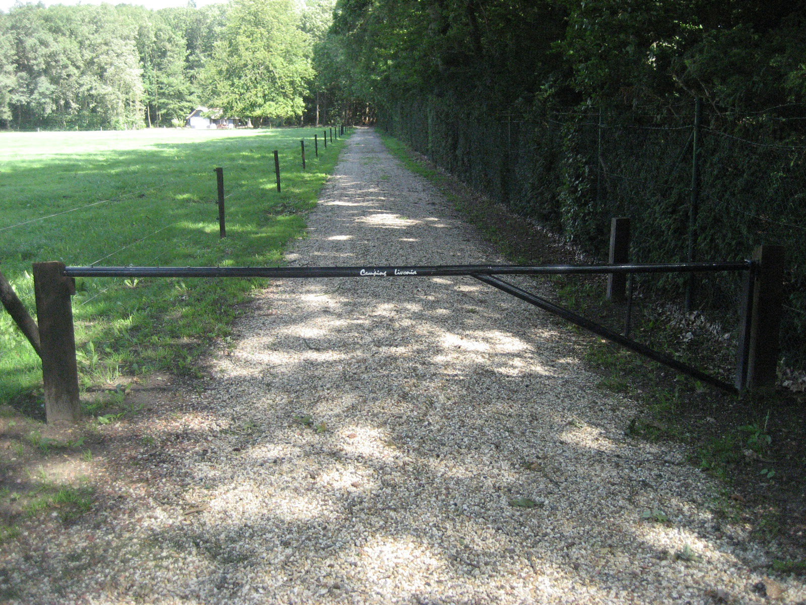 - image: 12