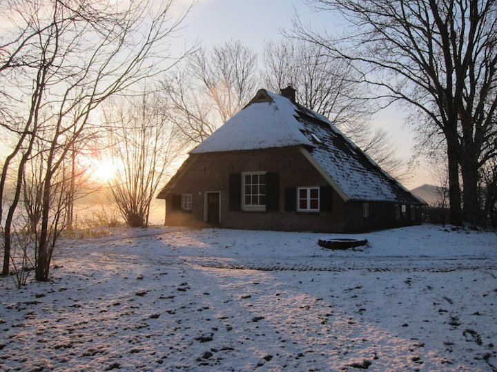 - image: 25