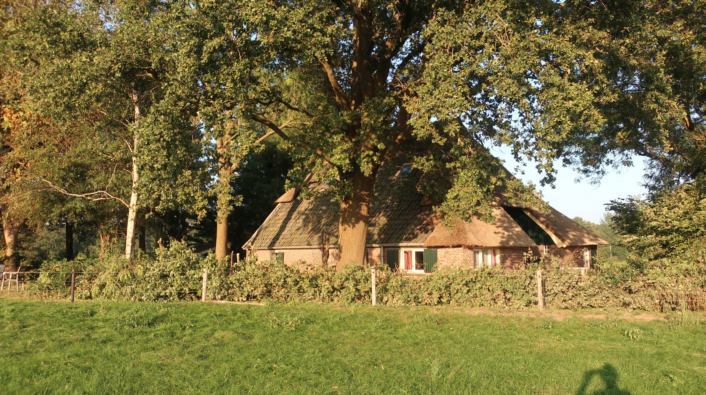 - image: 20