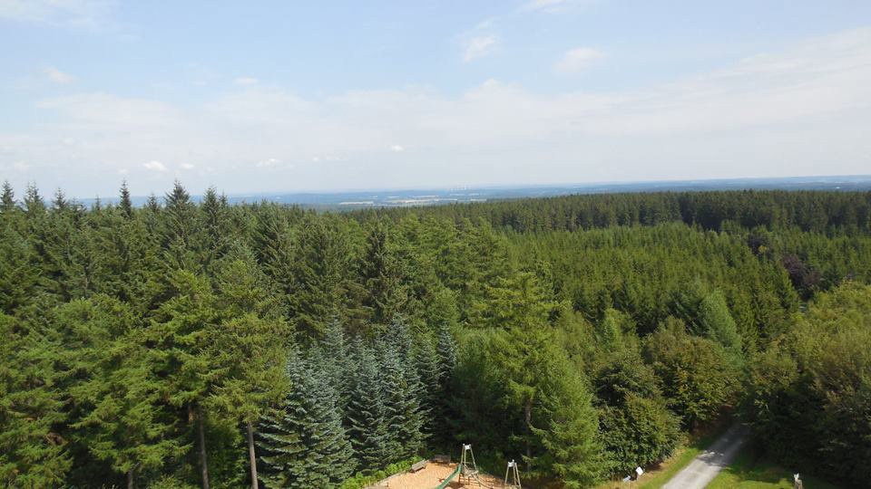 - image: 21