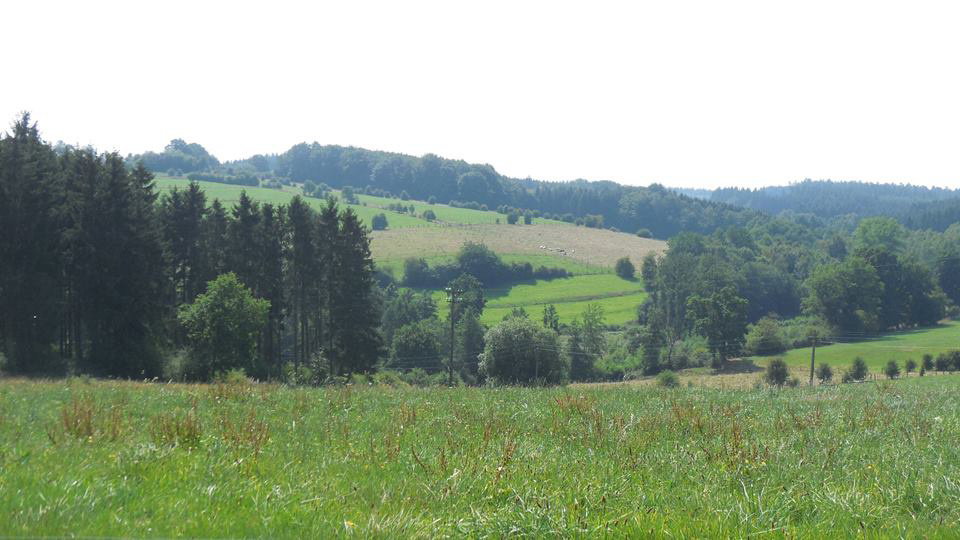 - image: 20