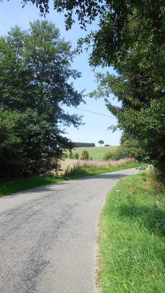 - image: 22