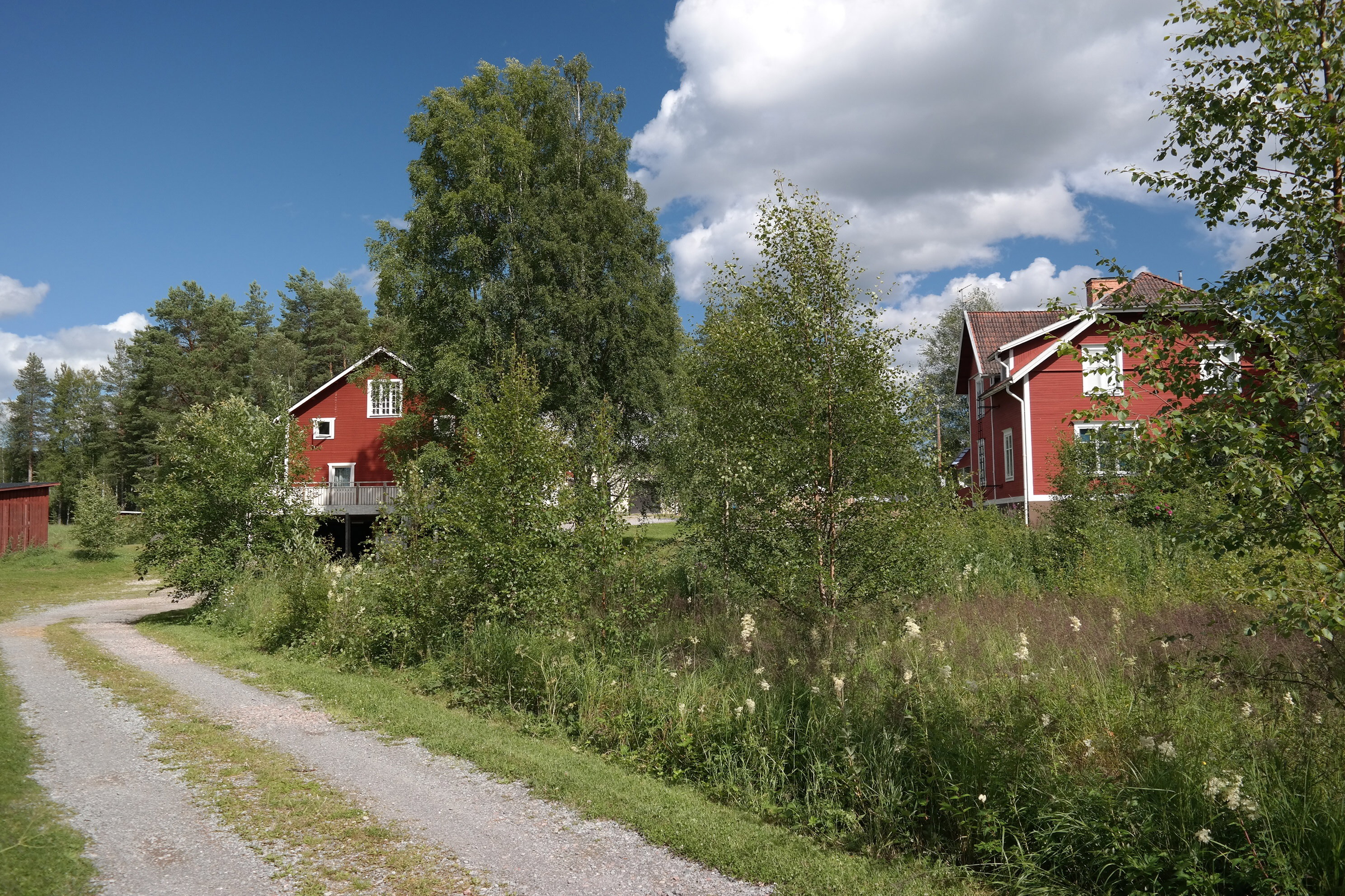 - image: 12