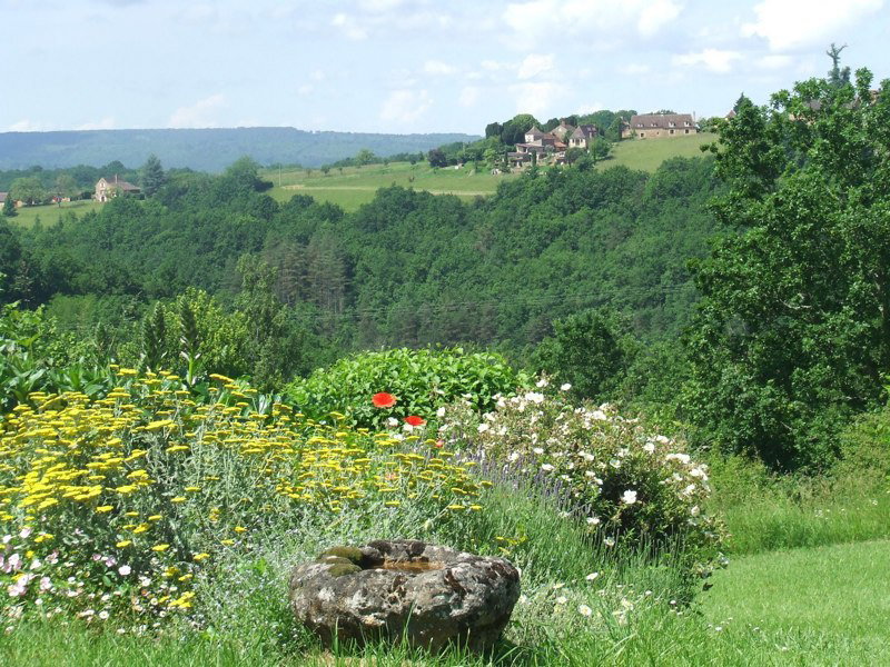 - image: 16