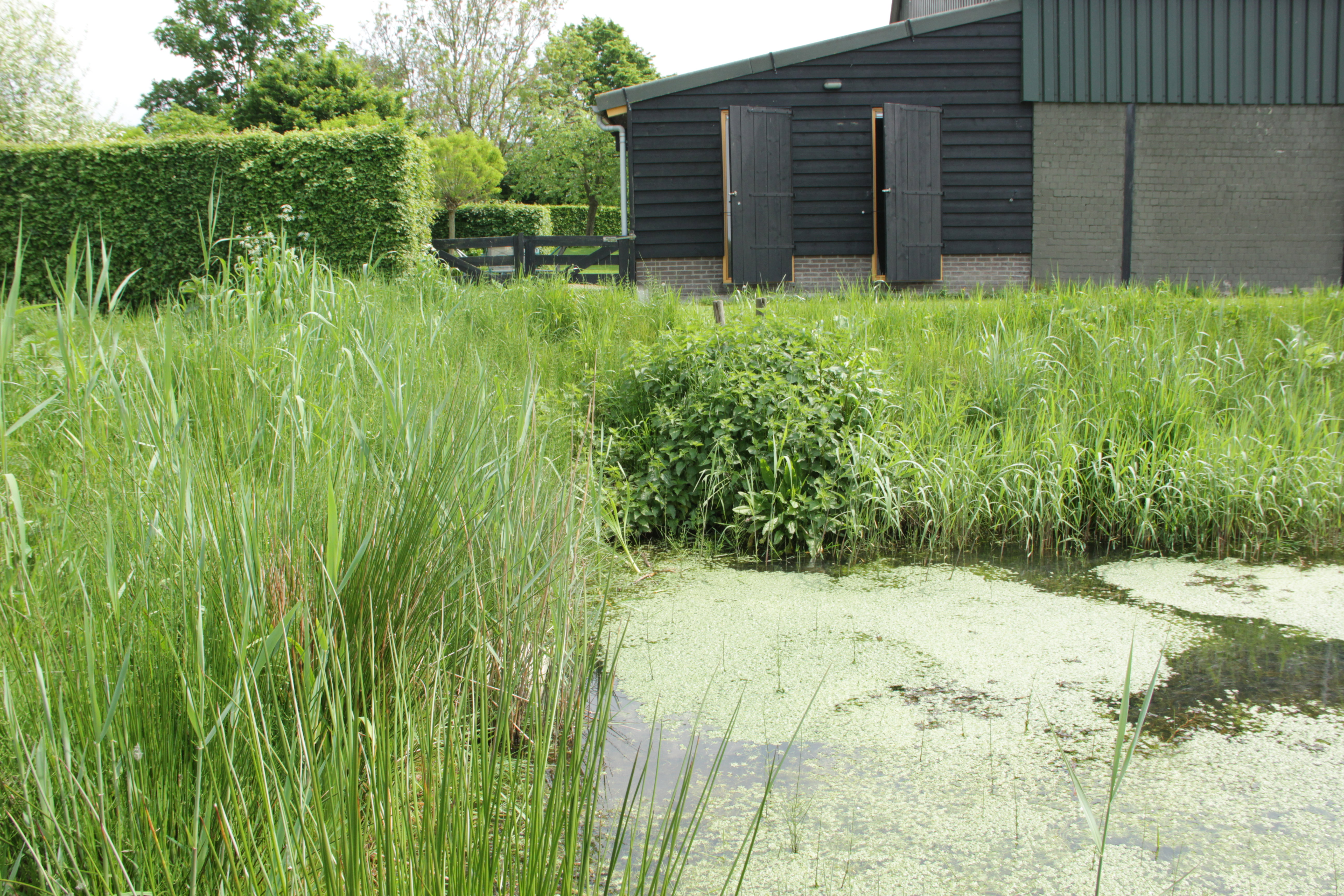 Natuurhuisje in Hank