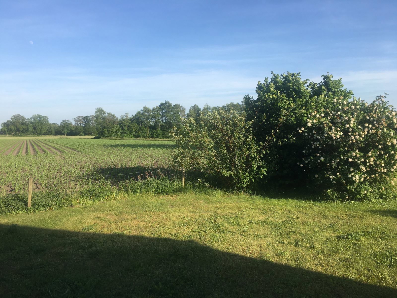 Natuurhuisje in Harfsen