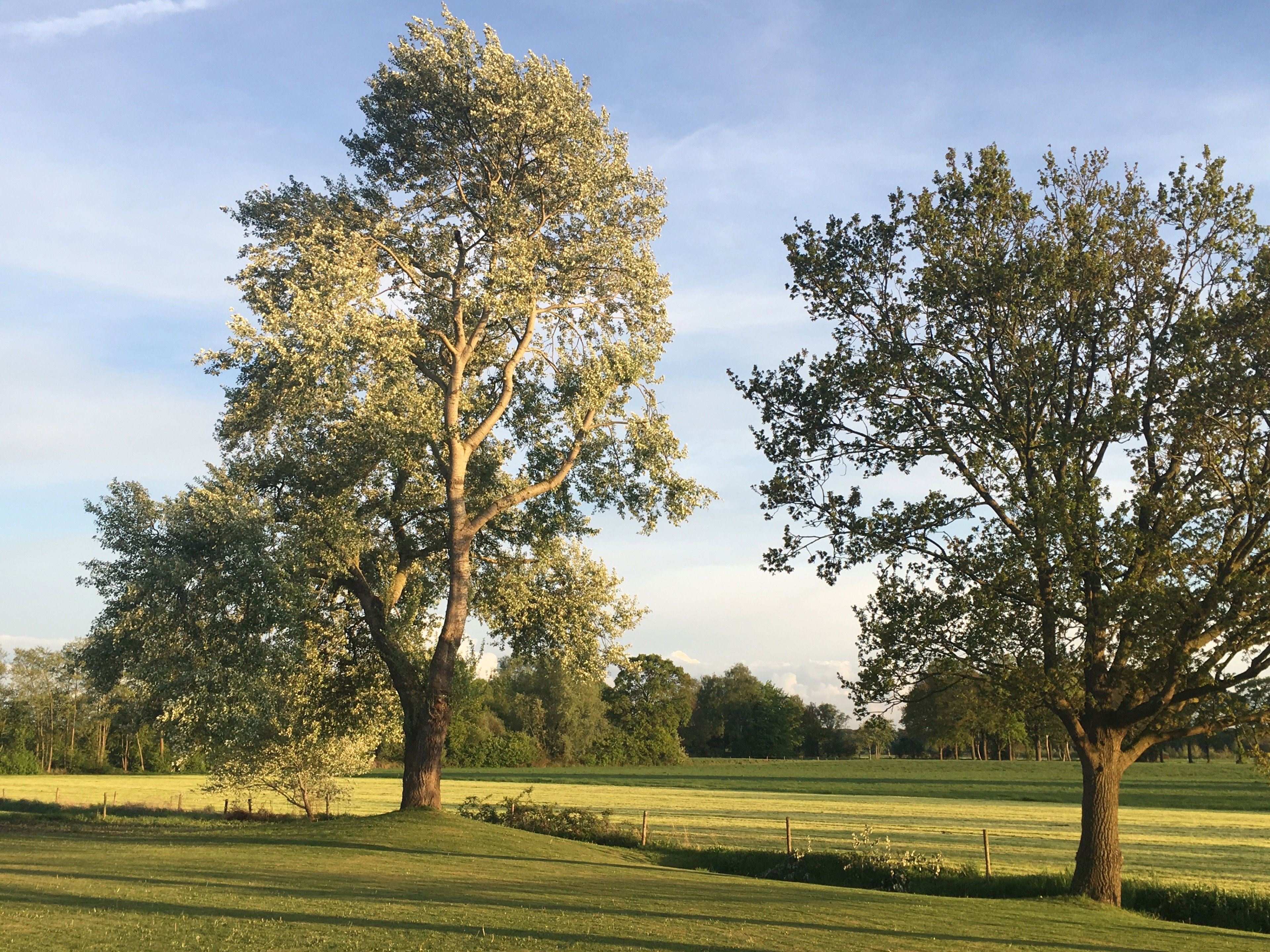 Natuurhuisje in Harfsen