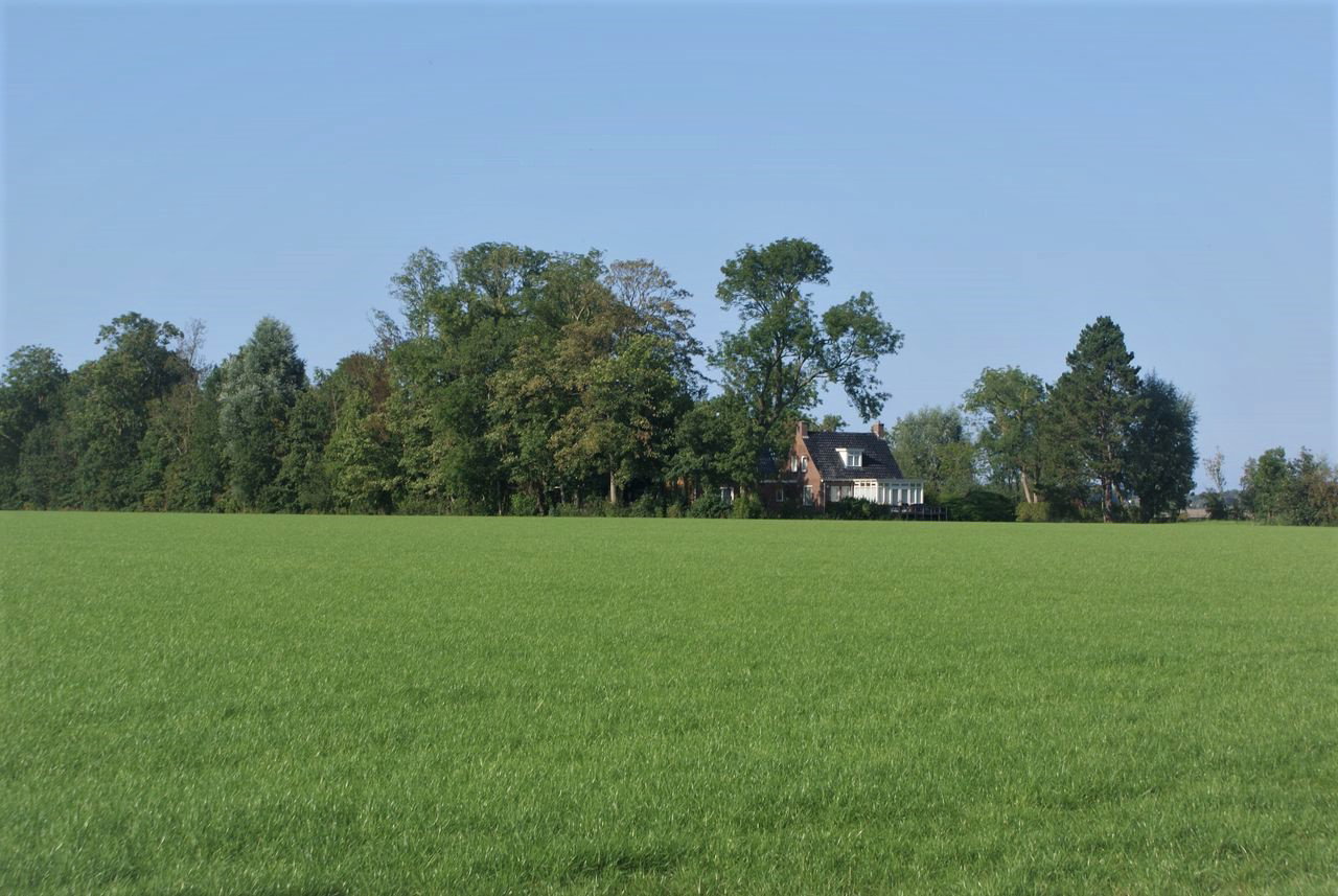 Maison nature à Eenrum