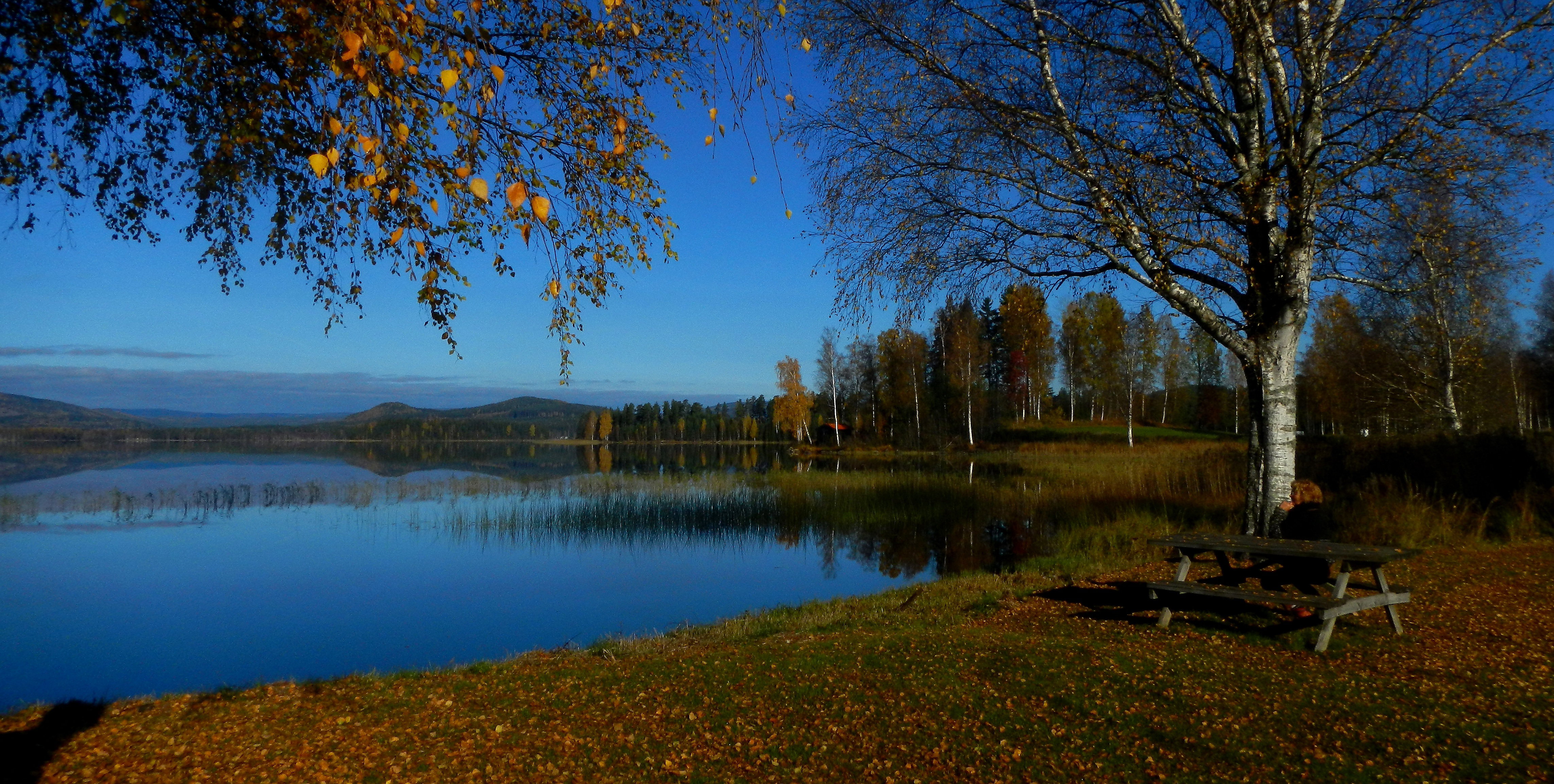 - image: 21
