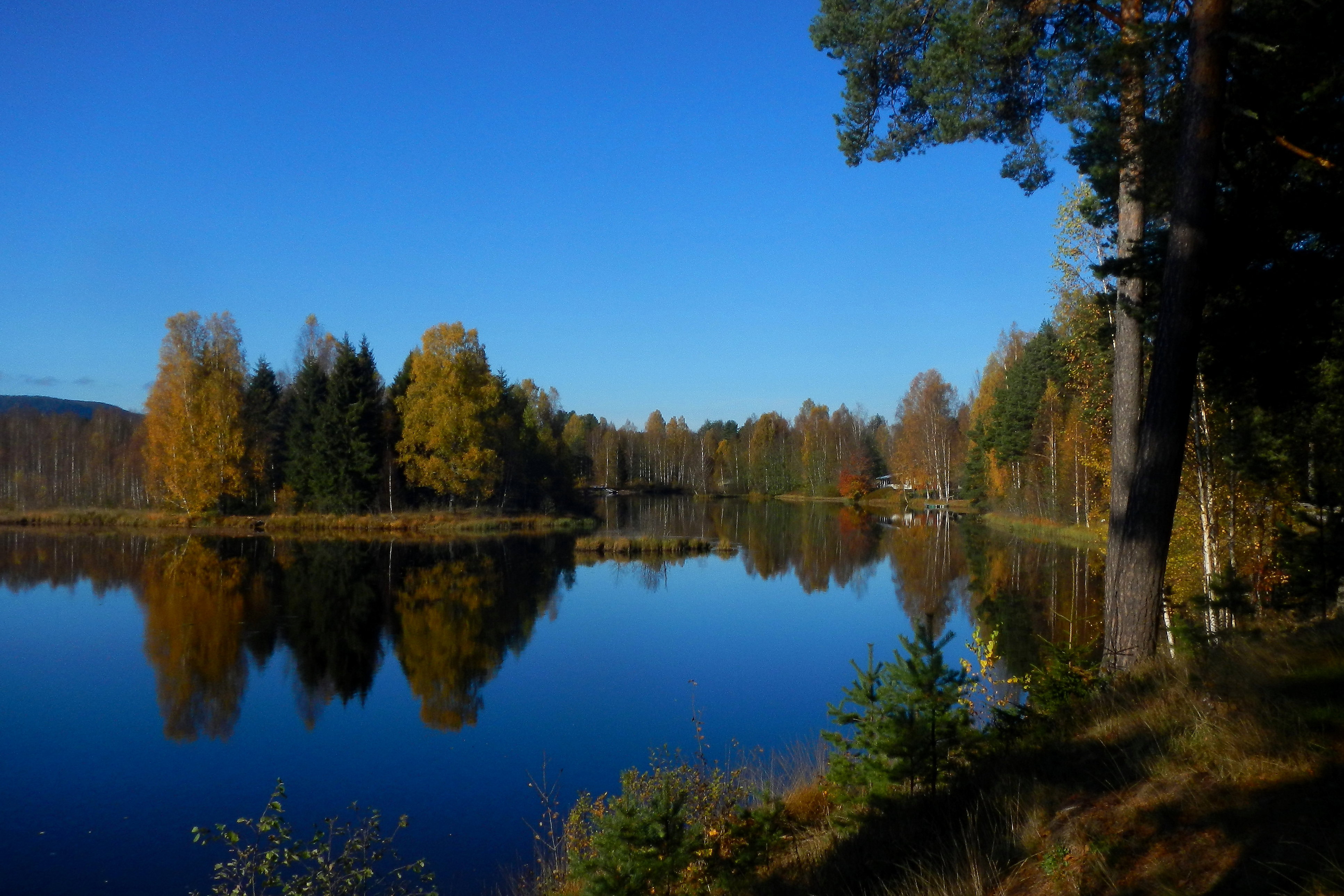 - image: 22