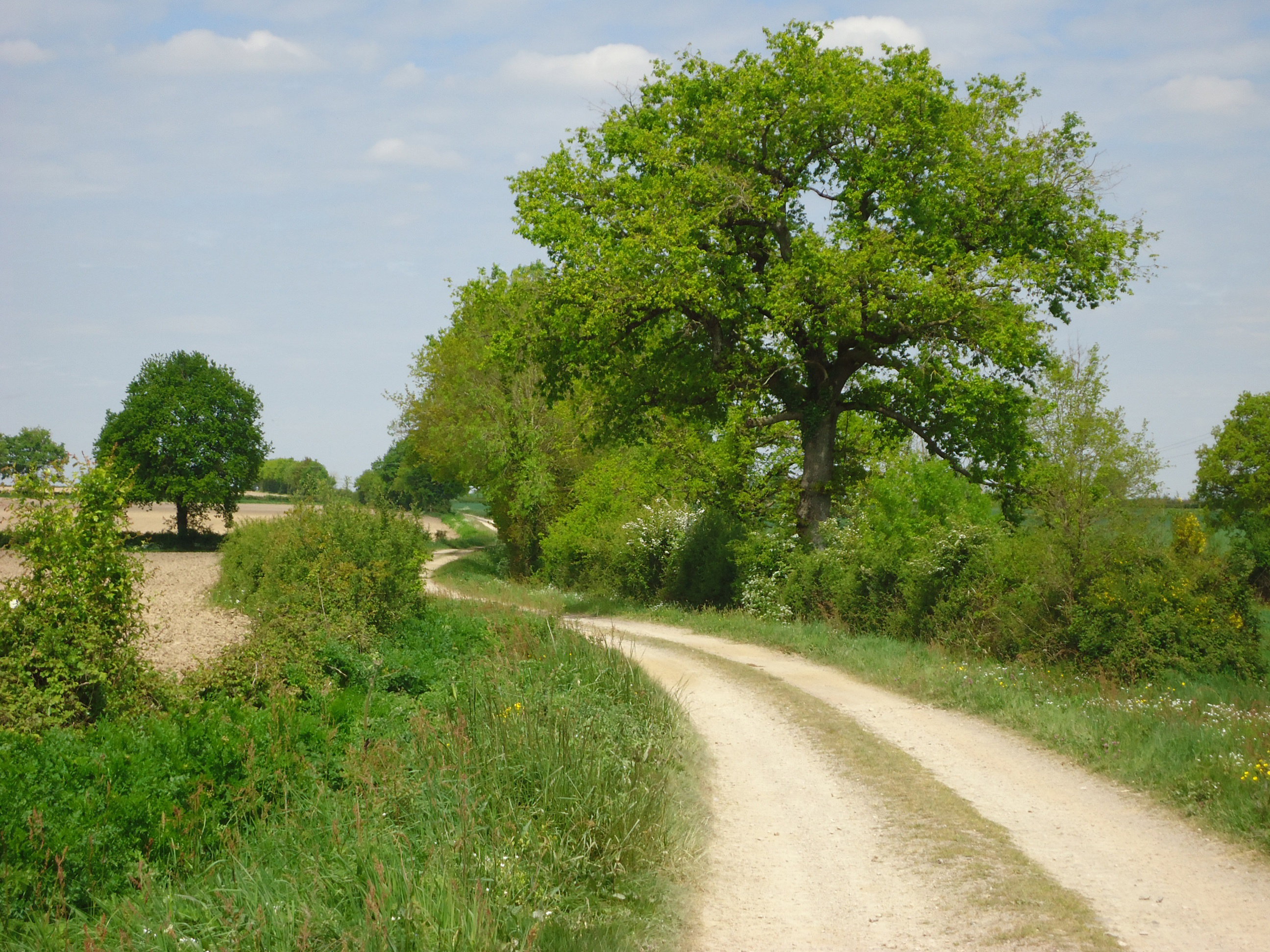- image: 24