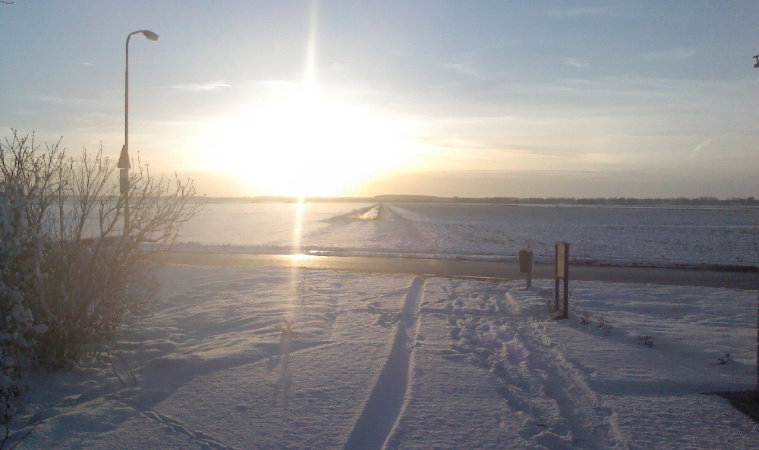 - image: 25