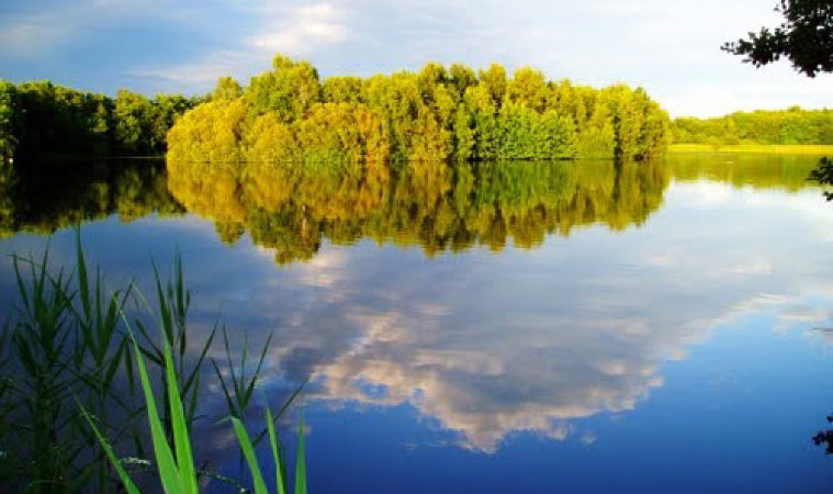 - image: 17