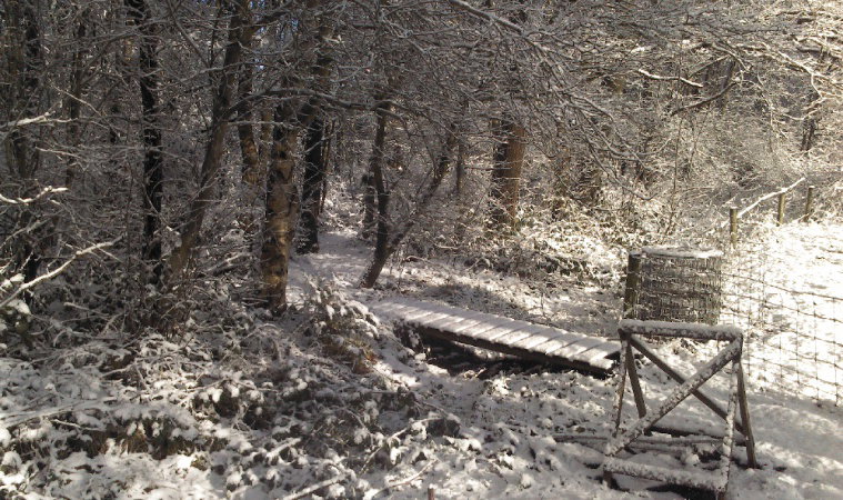 - image: 23