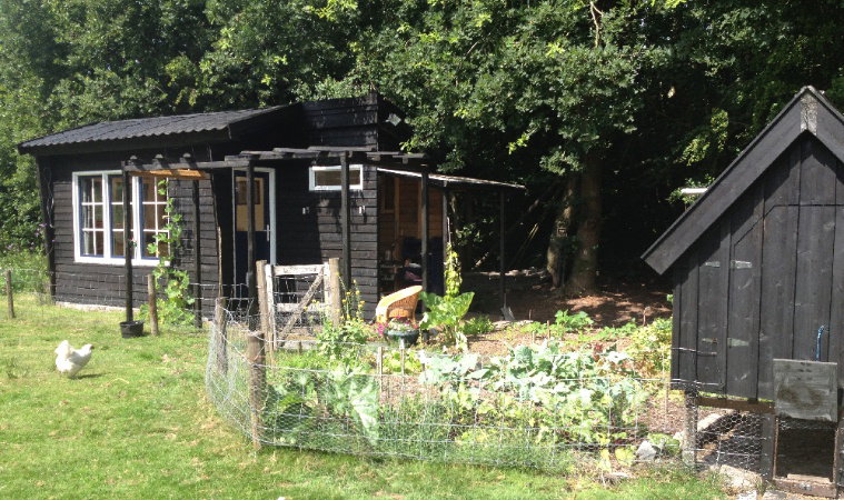 Naturhäuschen in Tweede Exloërmond
