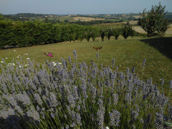 Casa nella natura a Saint Lary Boujean