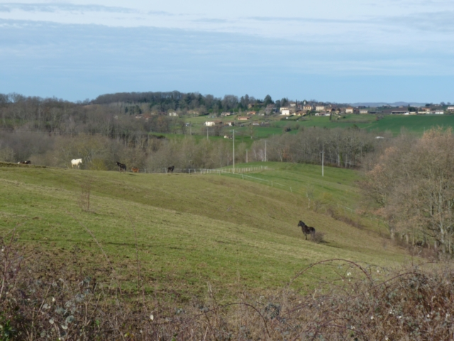 - image: 14