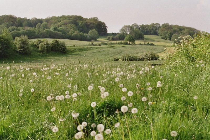 - image: 17