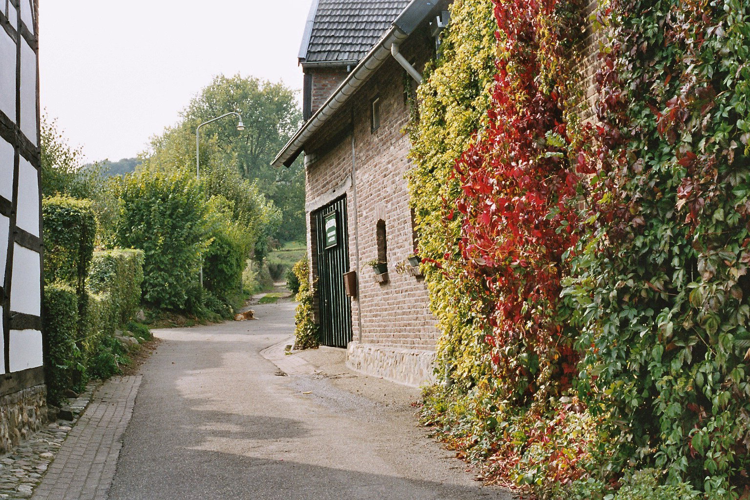 Naturhäuschen in Mechelen