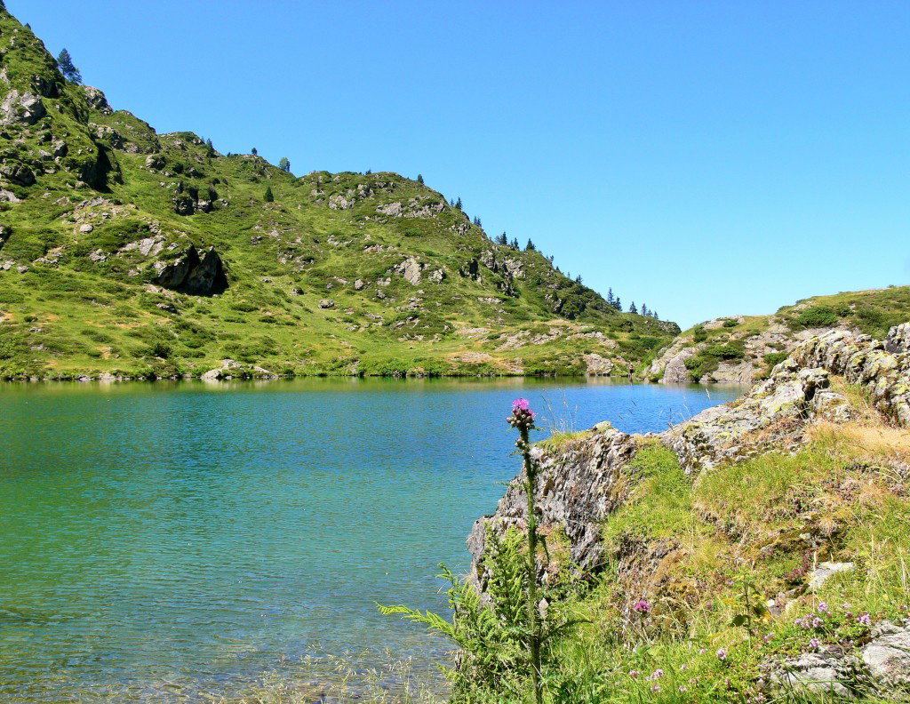 - image: 13