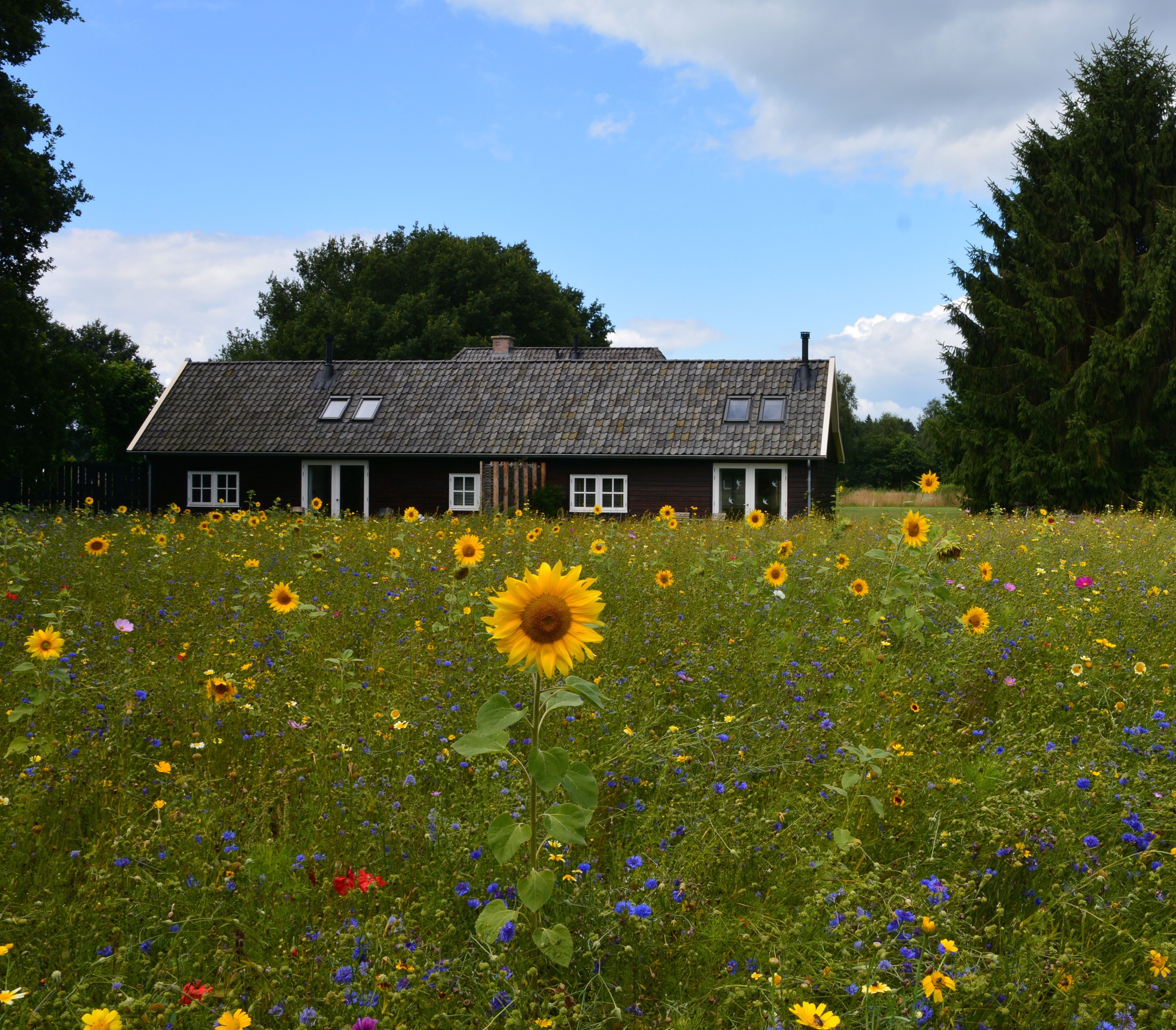Naturhäuschen in Varssel - Hengelo Gld