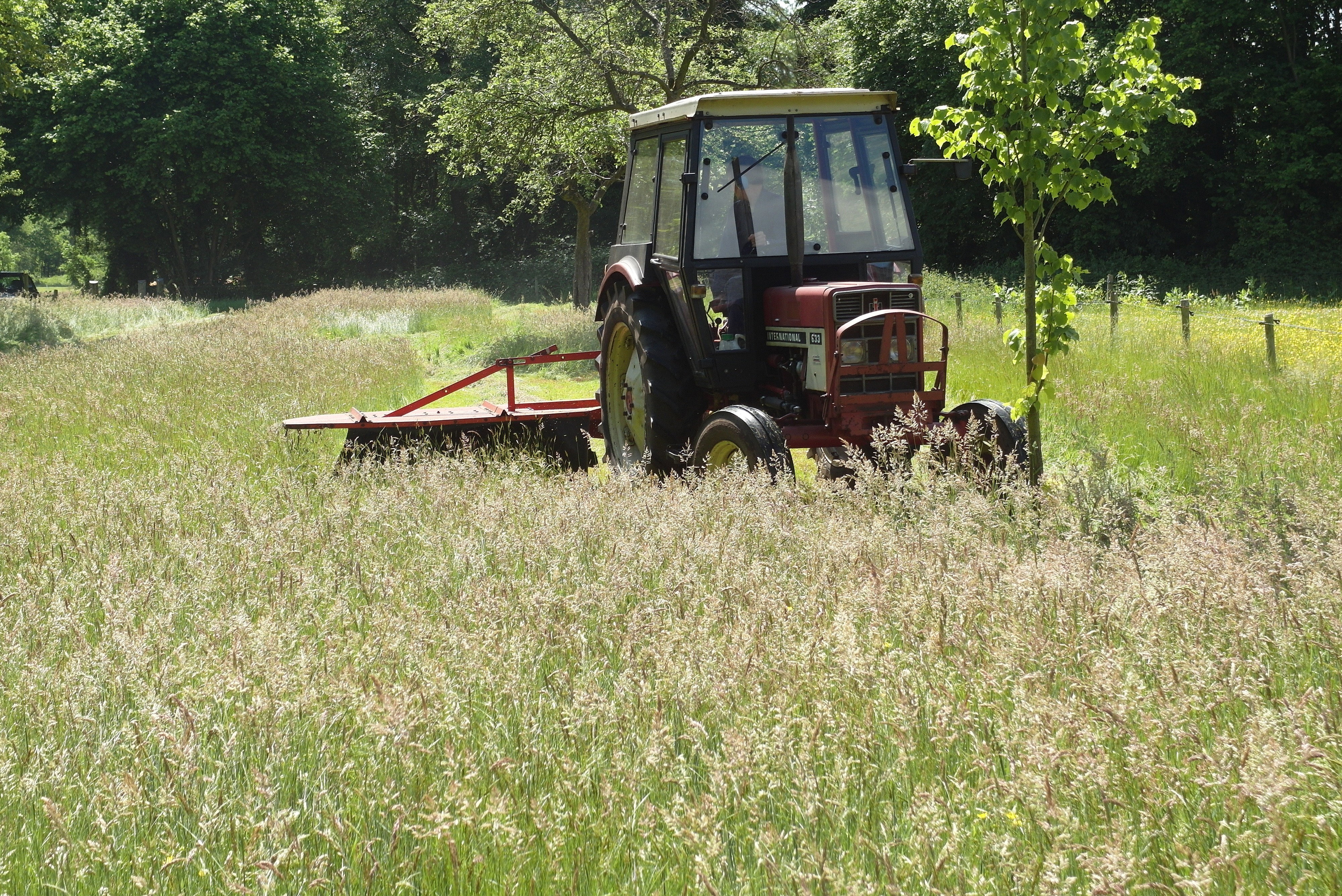 Naturhäuschen in Varssel - Hengelo Gld