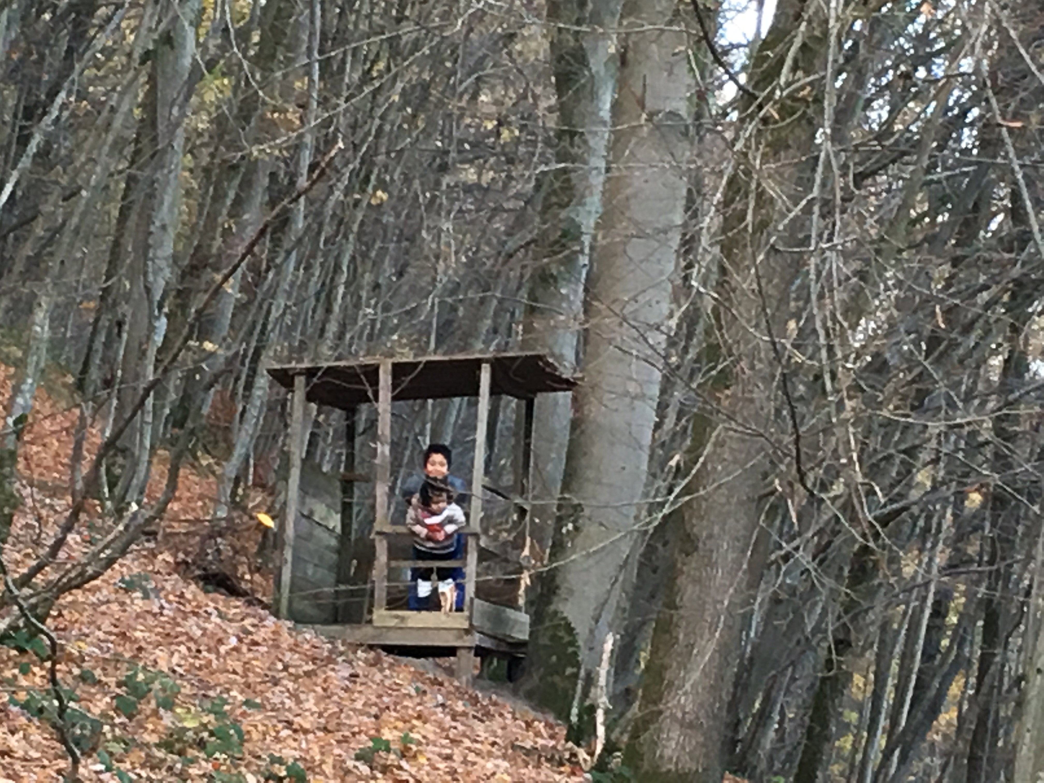 Casa nella natura a Hodister