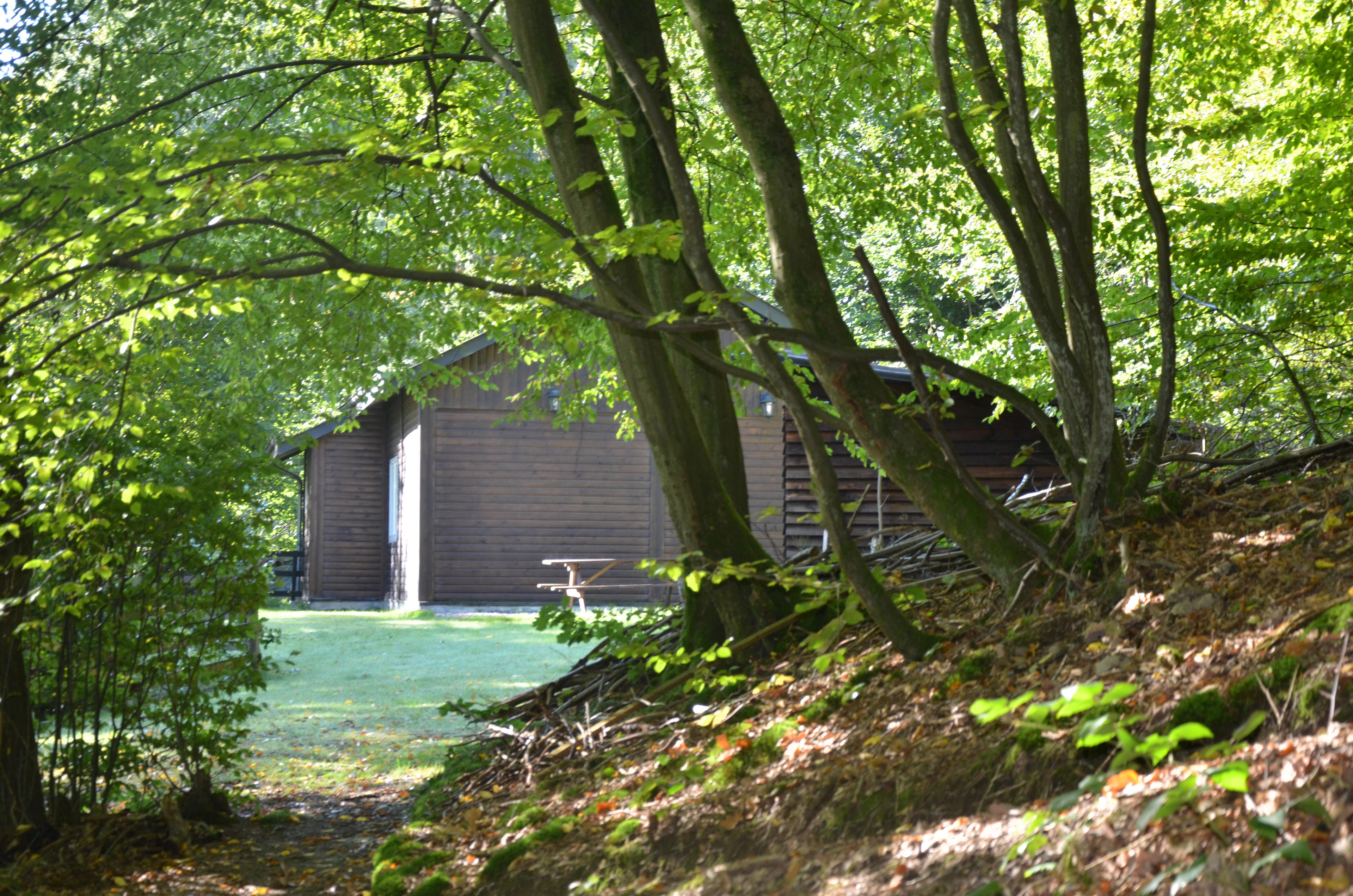 Maison nature à Hodister