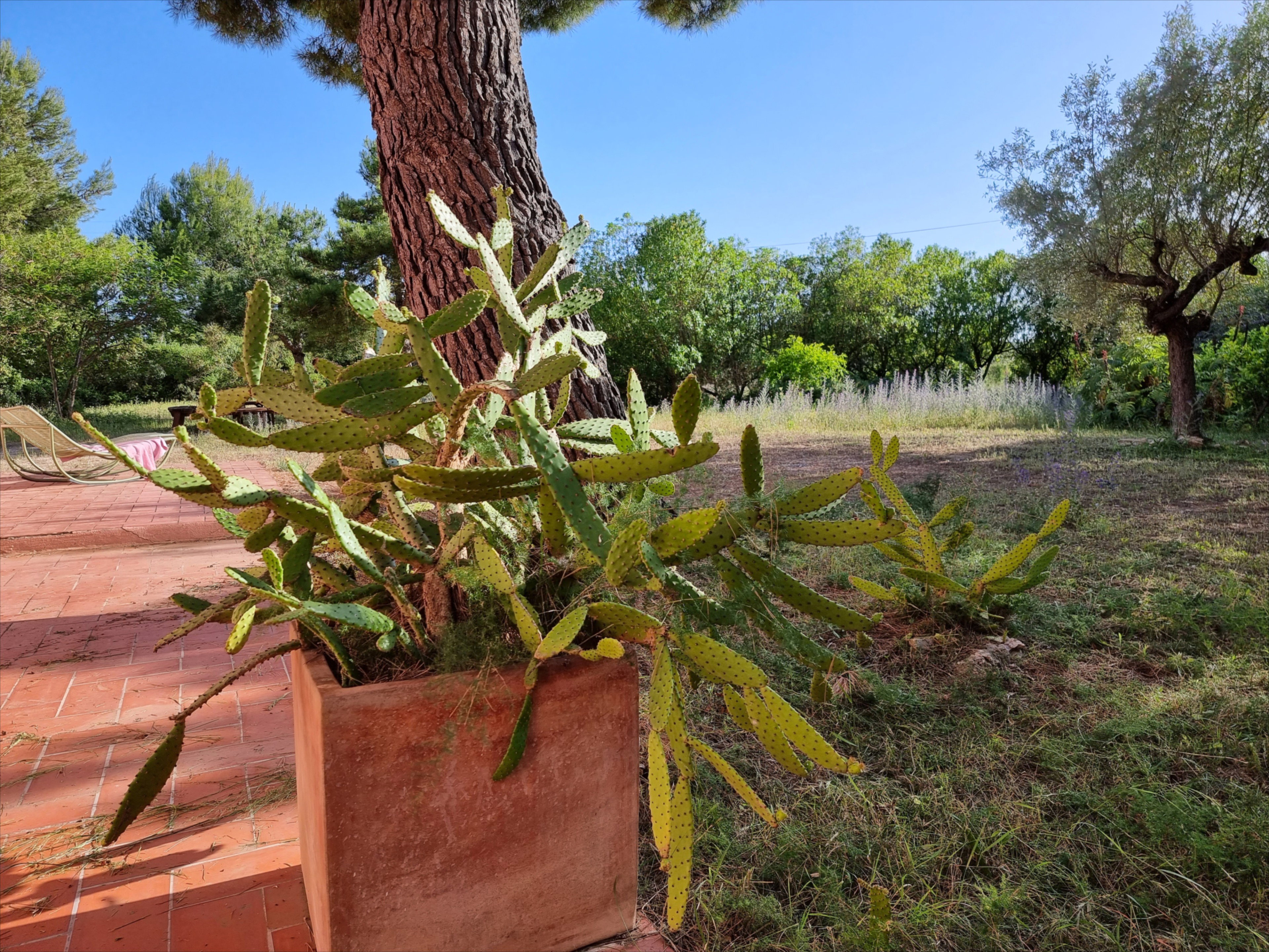 Casa nella natura a Càlig