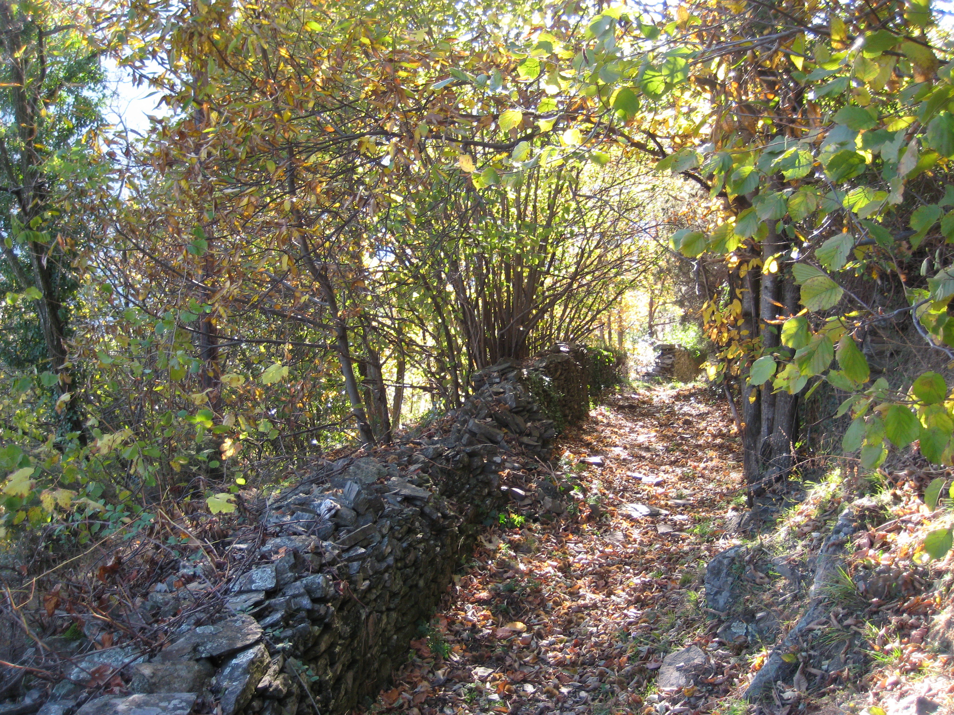 - image: 25