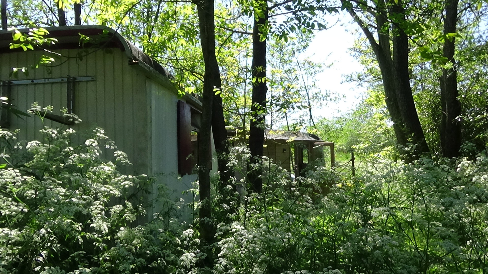Maison nature à Grou