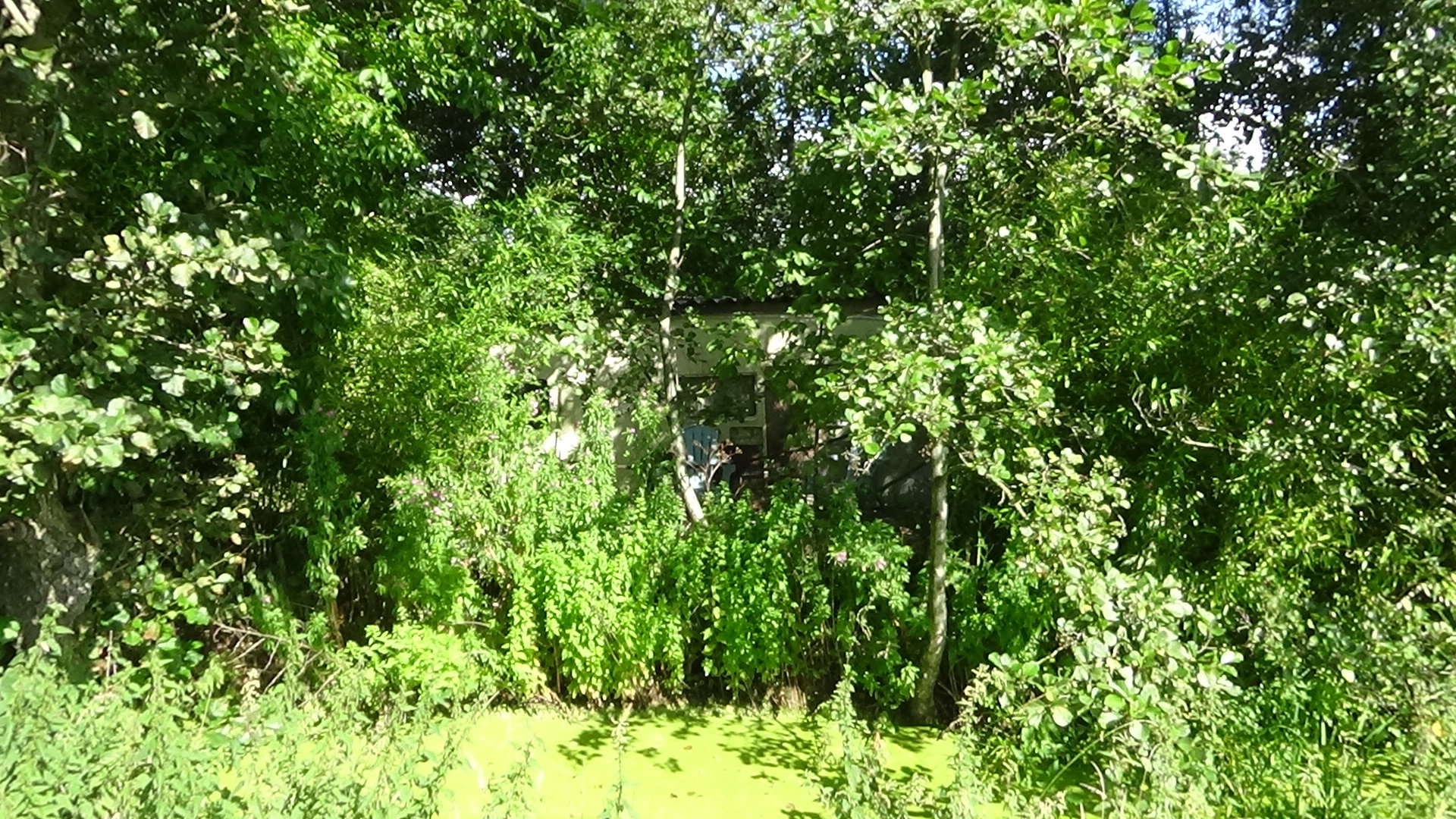 - image: 11