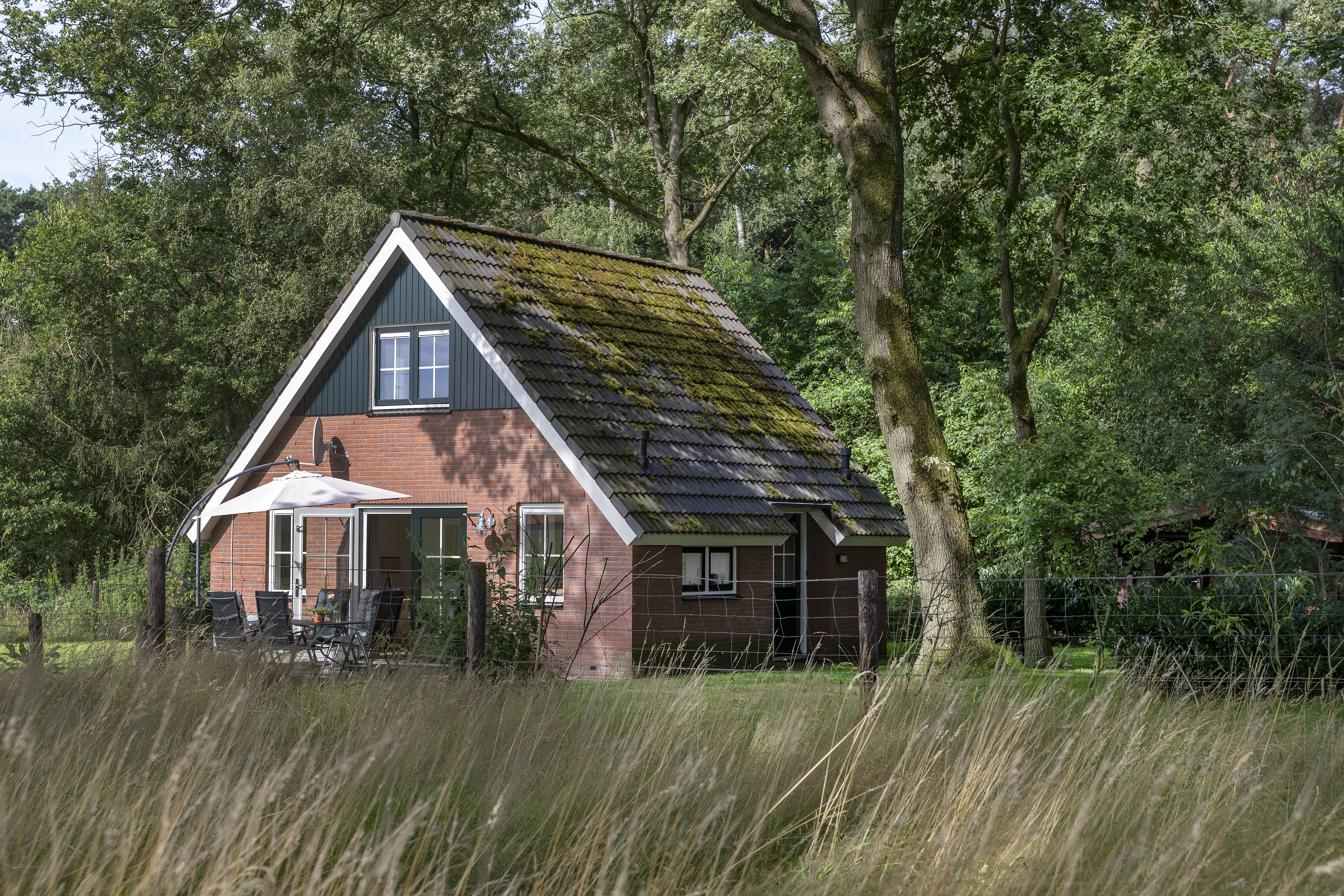 Maison nature à Markelo (Hof van Twente)