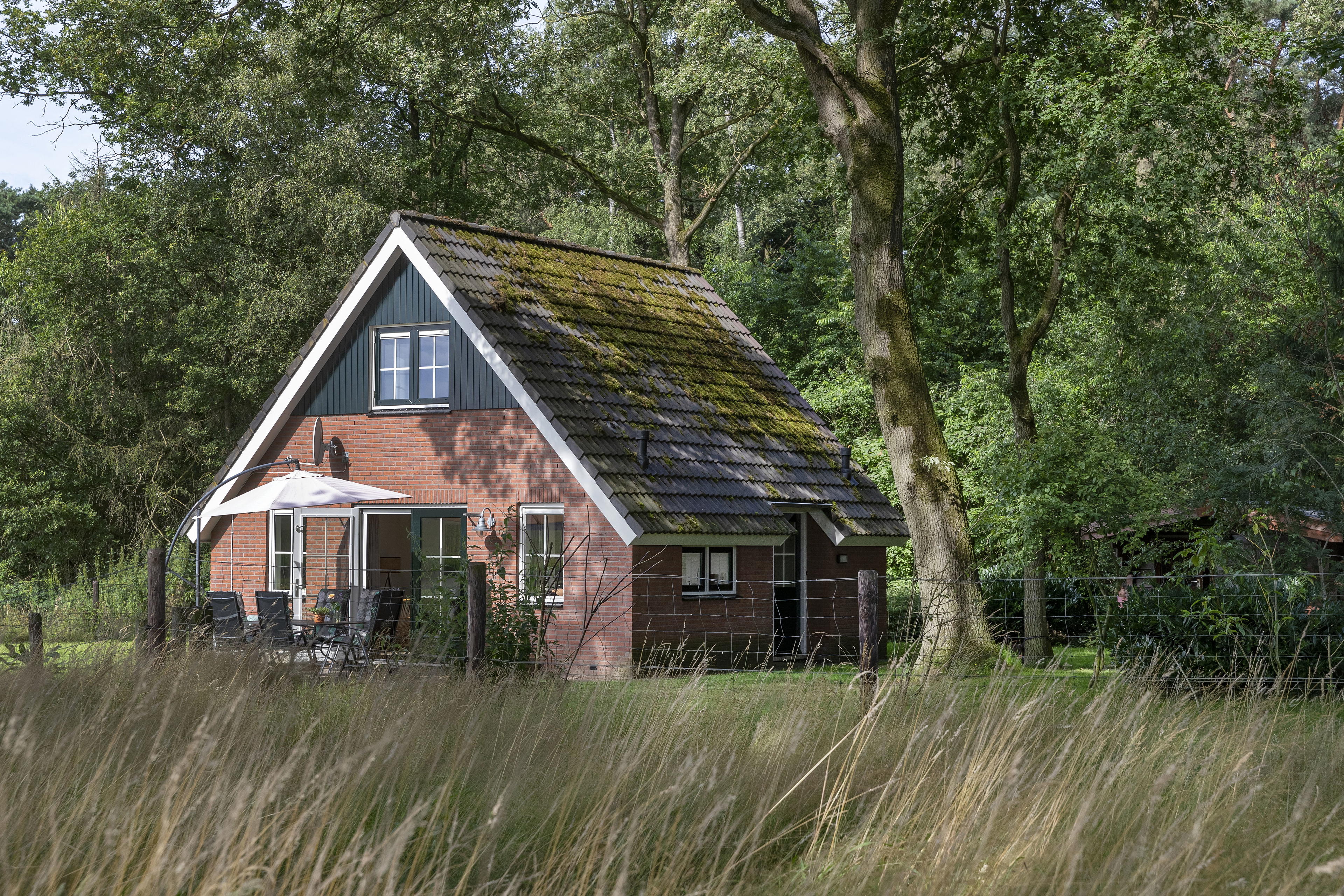 Nature house in Markelo (Hof van Twente)