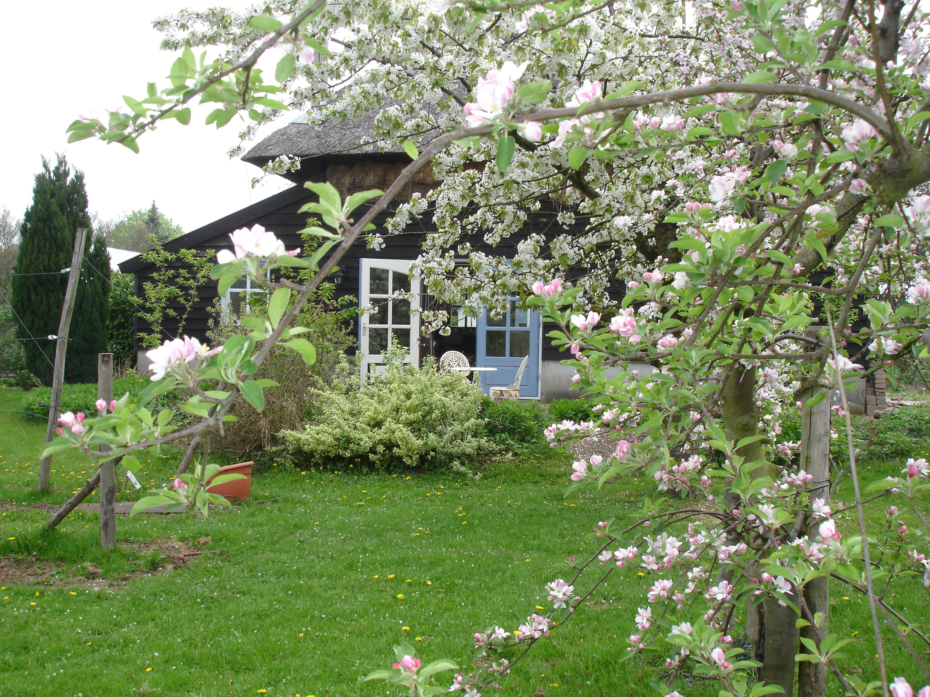 Naturhäuschen in Eck en Wiel