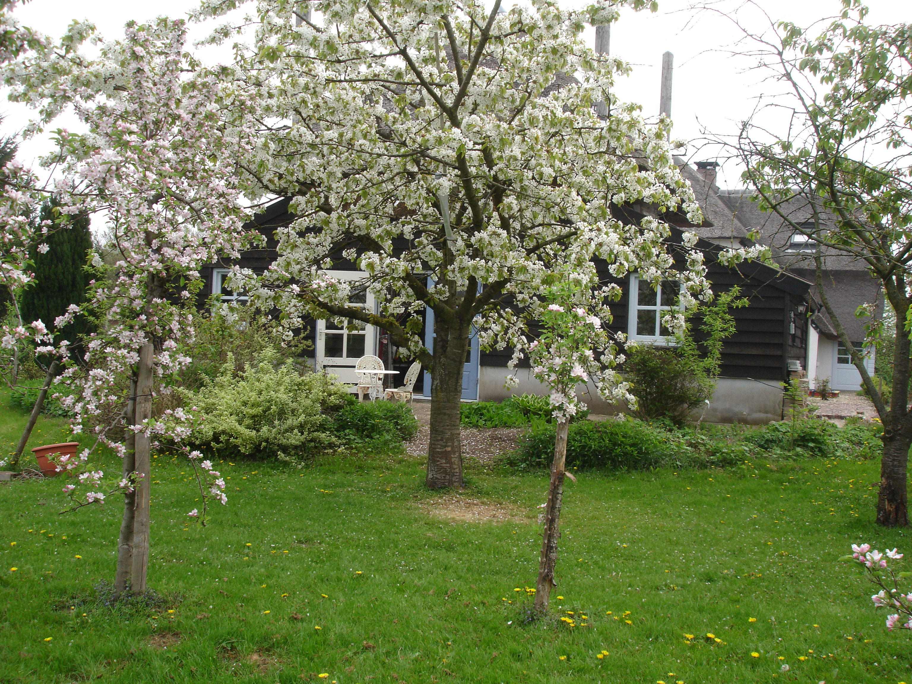 - image: 22