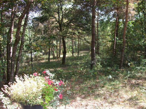 Maison nature à La Celle en Morvan