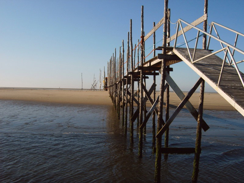 - image: 13